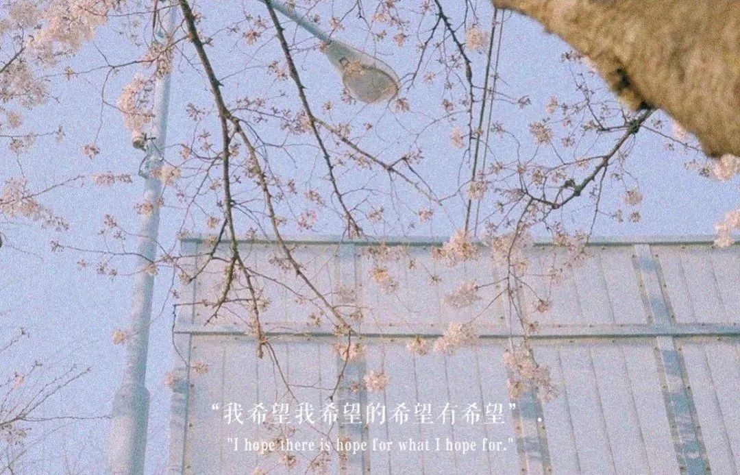 我希望我希望的希望有希望的下一句是什么?