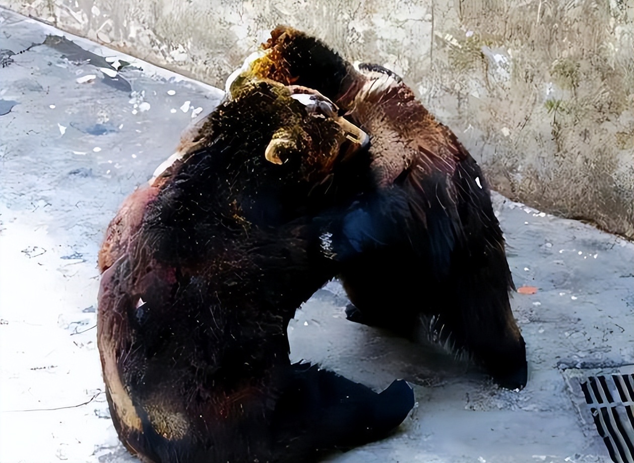 2002年,清华学子刘海洋"硫酸泼熊",现如今已成中科院高级专家
