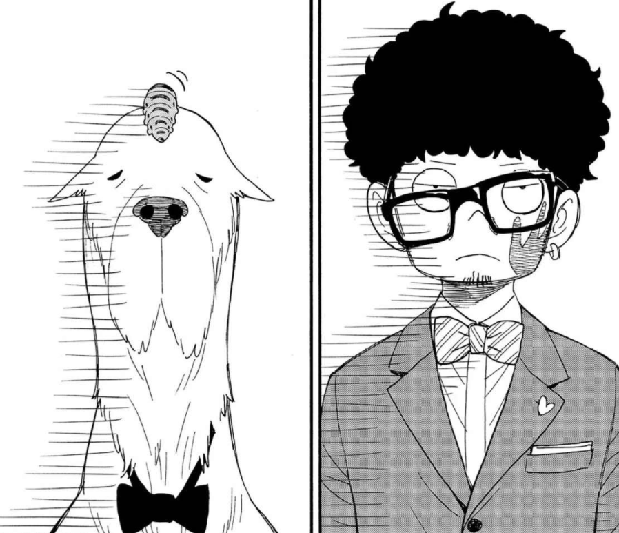 间谍过家家番外:安妮亚硬核理解爱情,尤里居然也会感冒