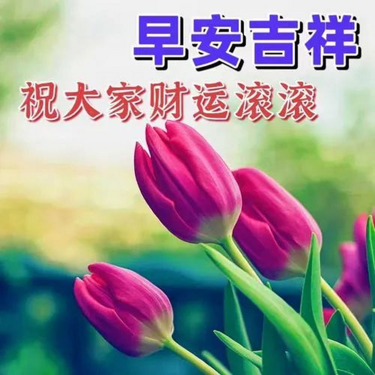 早上好图片漂亮祝福,早上好祝福美图美文 早上好,清晨一起短信见,送上
