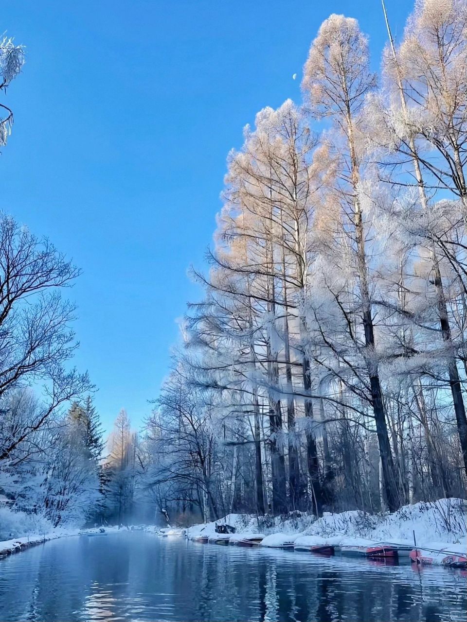 长白山雪景 摄影图片