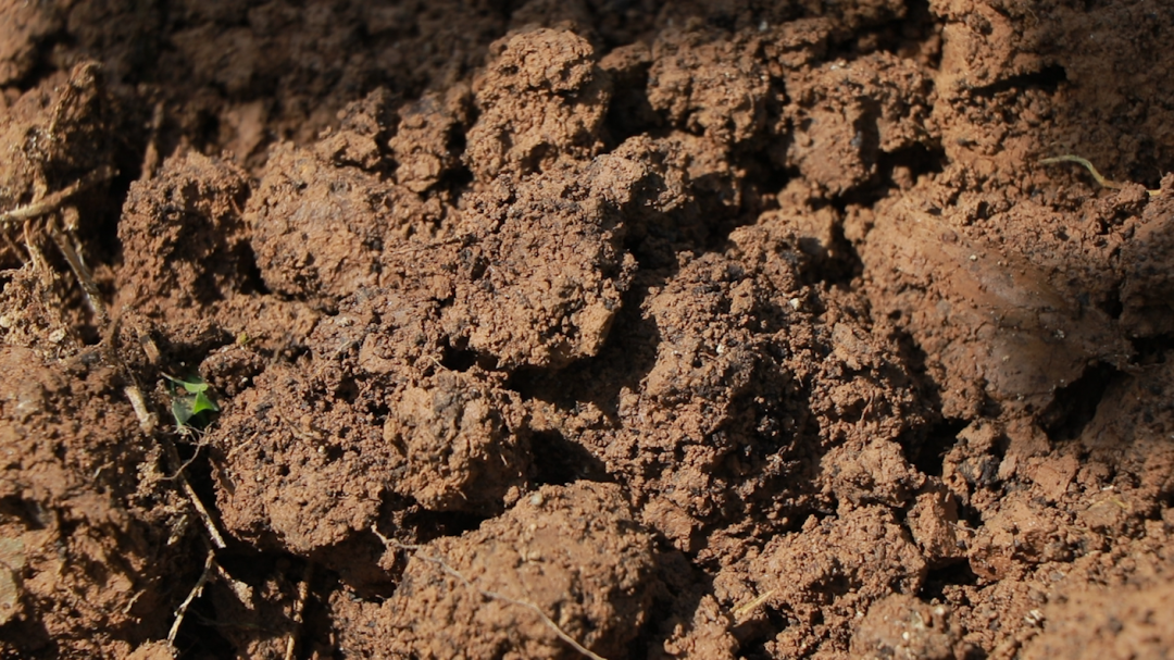 肥土行动:这里的土为什么这么牛?