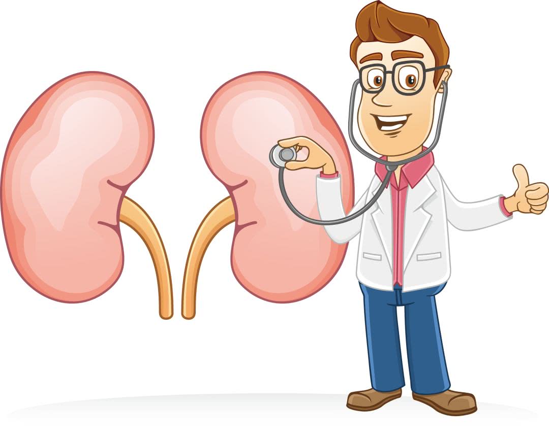 喝水越多尿越多,会增加肾脏负担吗?一文讲清,不妨了解一下