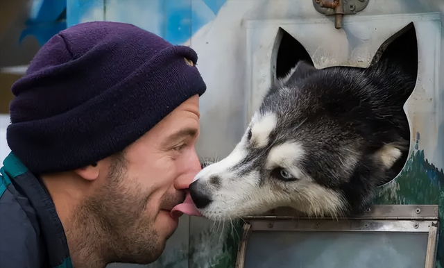 一只狗"舔你",并不是在表达爱意,而是给你这些信号!