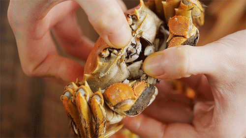 掀开大闸蟹的蟹盖