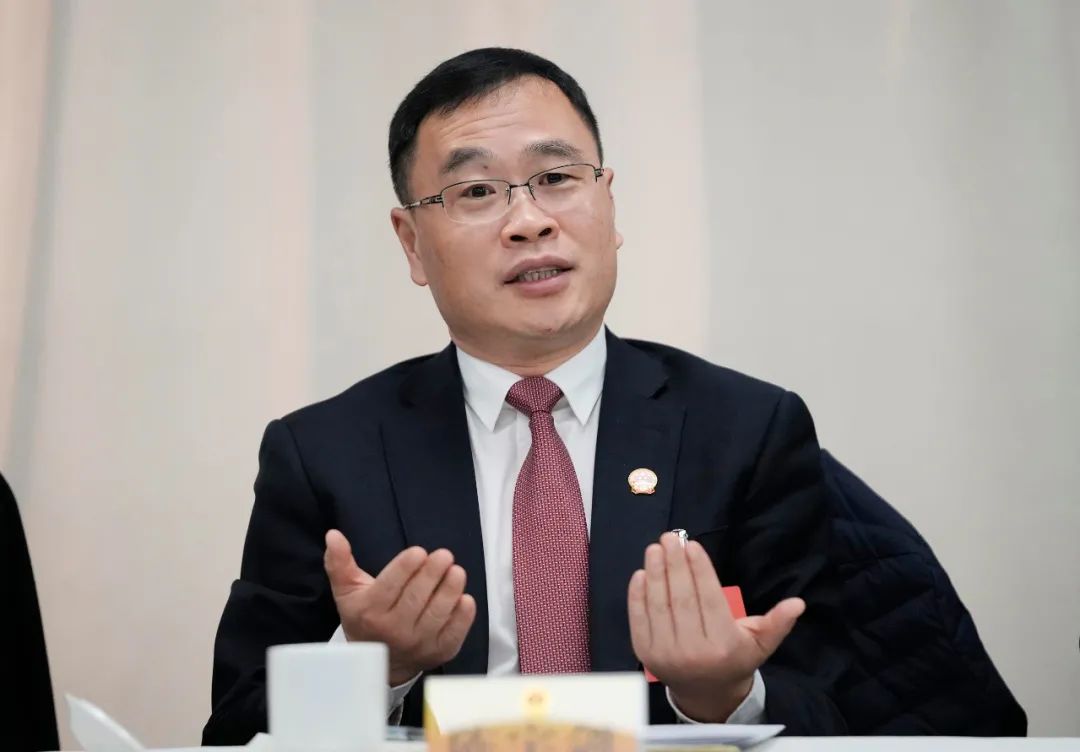 既要大手笔,又要绣花功!陈宇剑与第六代表团共同审议区政府工作报告