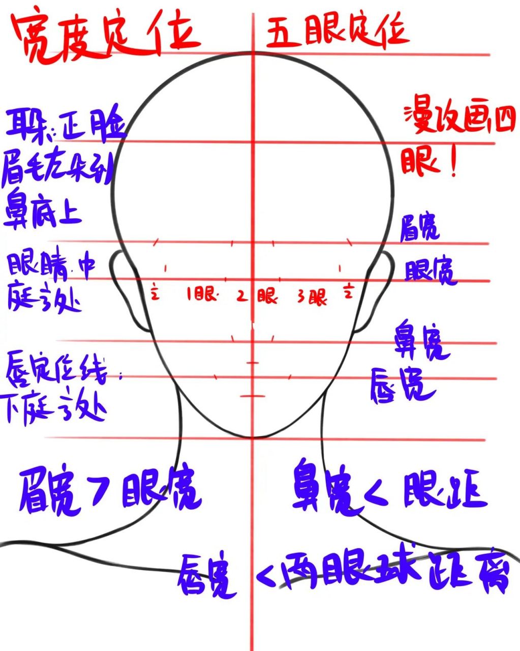 五官定位画法图片