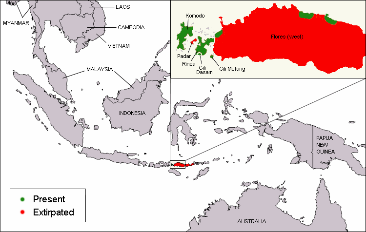 (图片说明:科莫多龙分布图,这张地图再往北一点就是咱们的祖国了)