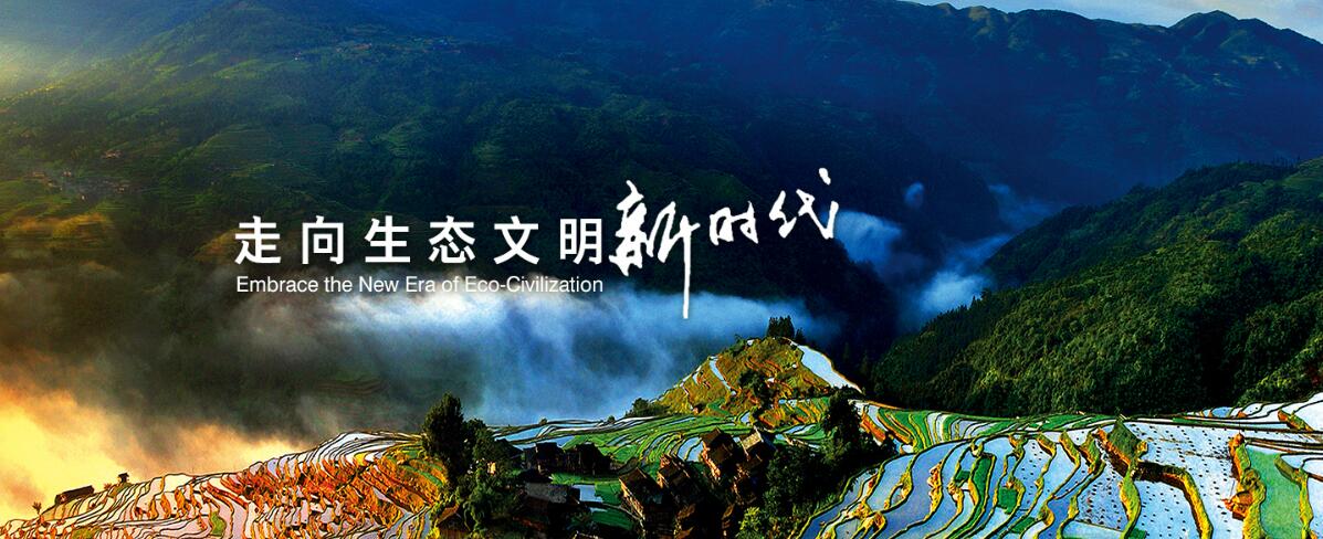 双碳战略:中国的新能源革命,为何意义非凡?