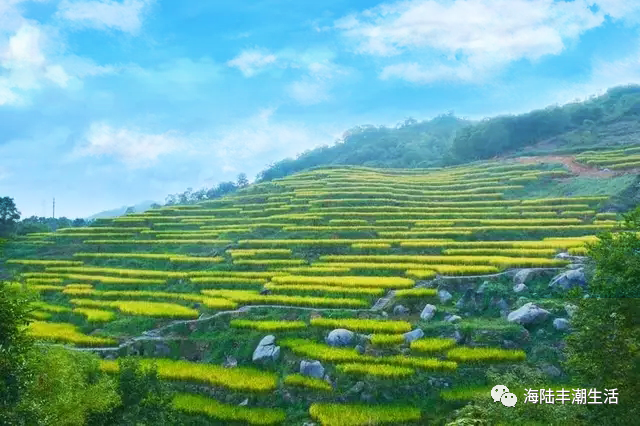 汕尾陆河景色—画境里的梯田