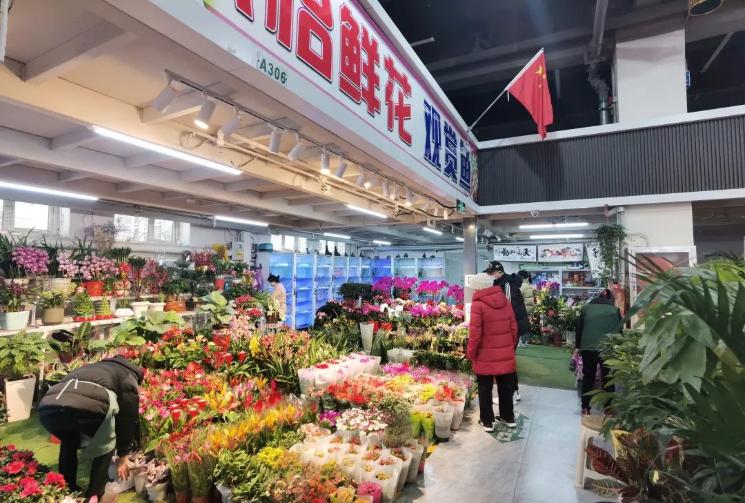 北京石景山花卉市场图片