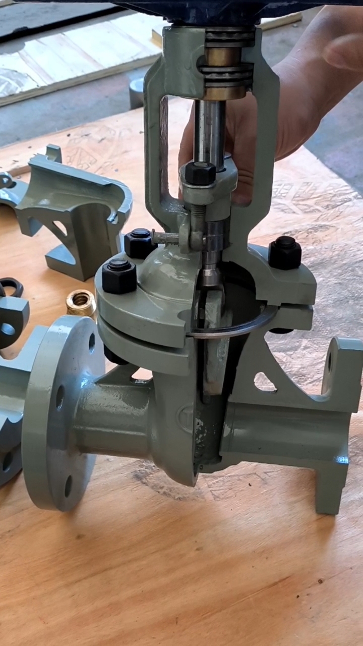 苏式闸阀阀体解剖体