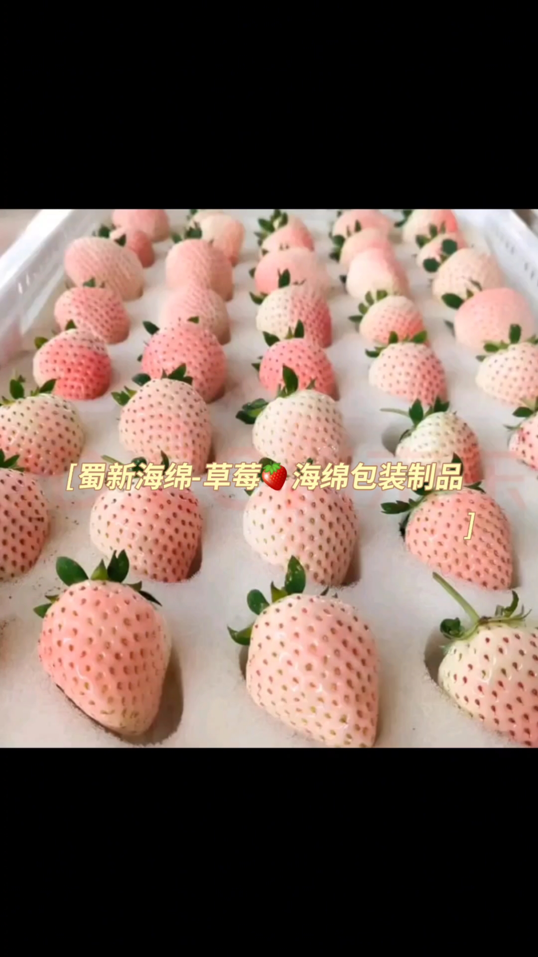 蜀新海绵厂专业生产草莓海绵包装制品.