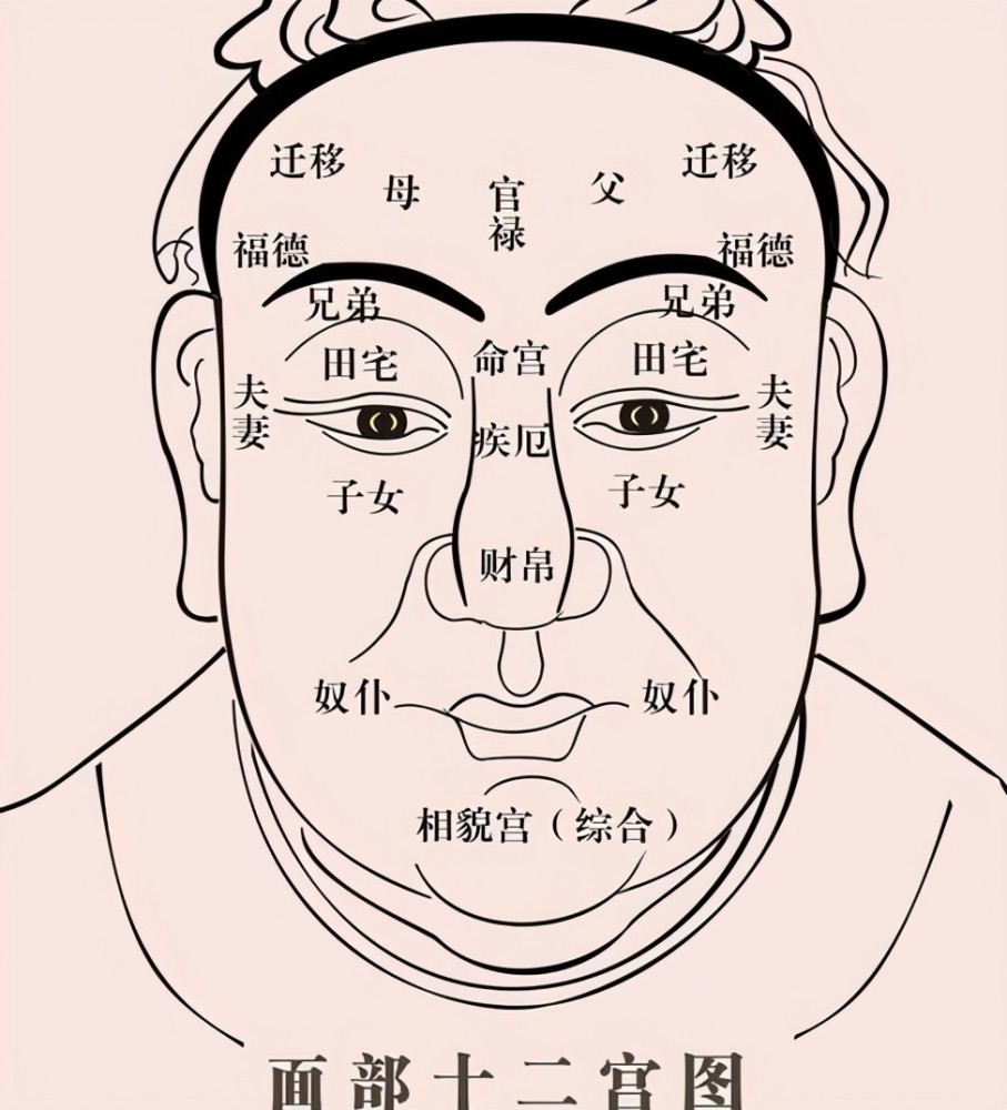 一分鐘教你學會看面相!觀面相,測運勢!看看你是什麼命!