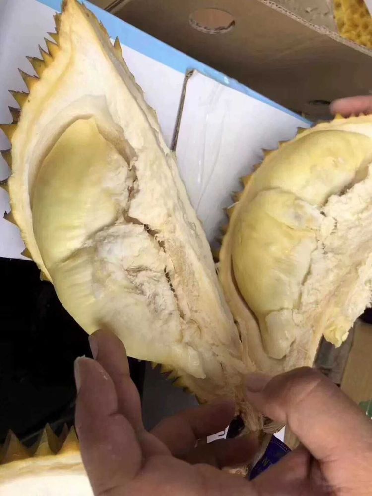 能让你对榴莲改观的蓝腾榴莲