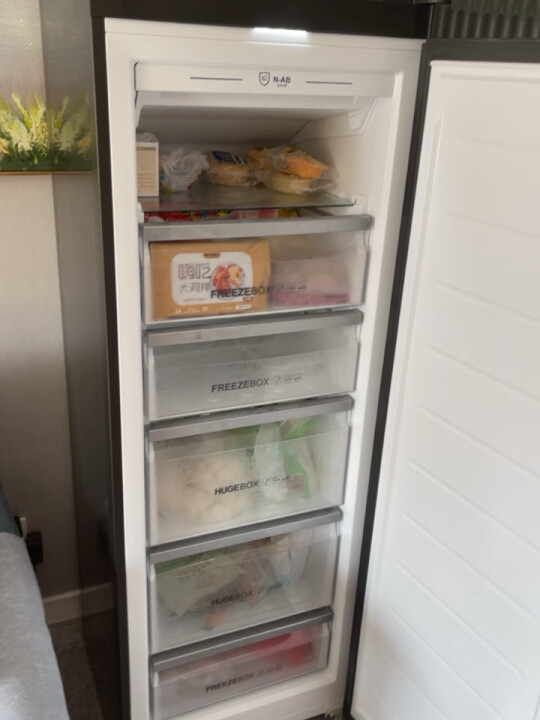 海尔(haier)立式冰柜零下-40度超低温冰柜家用抽屉式侧开门冷藏