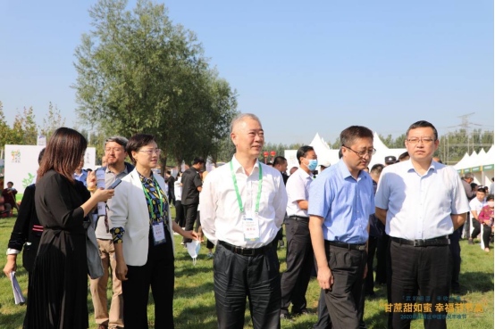 |礼赞丰收,2020年武清区中国农民丰收节盛大开启