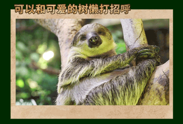 在此不仅可以展开一场奇趣的植物大探秘,亲眼看到大自然里的萌宠,还能