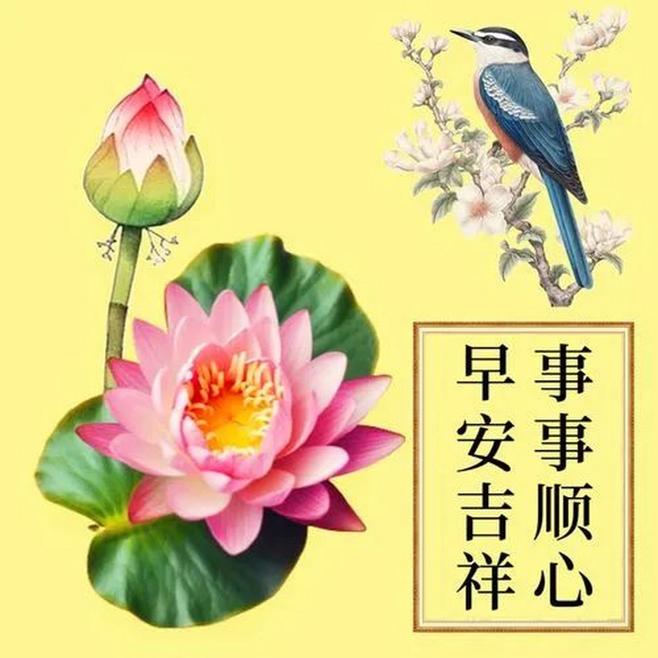 嗨!祝你早上好,愿你拥有美好的一天.
