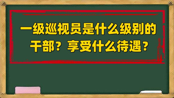 一级巡视员是什么级别的干部?享受什么待遇?