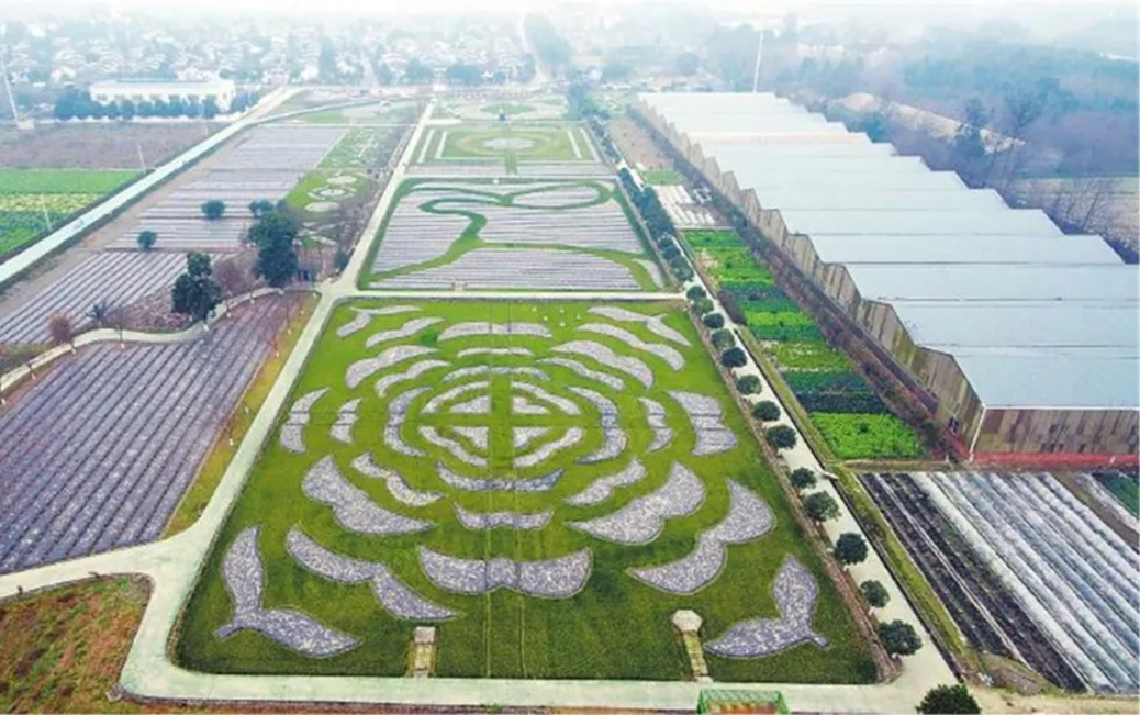 四川省成都市郫都区唐昌镇战旗村——中国美丽休闲乡村