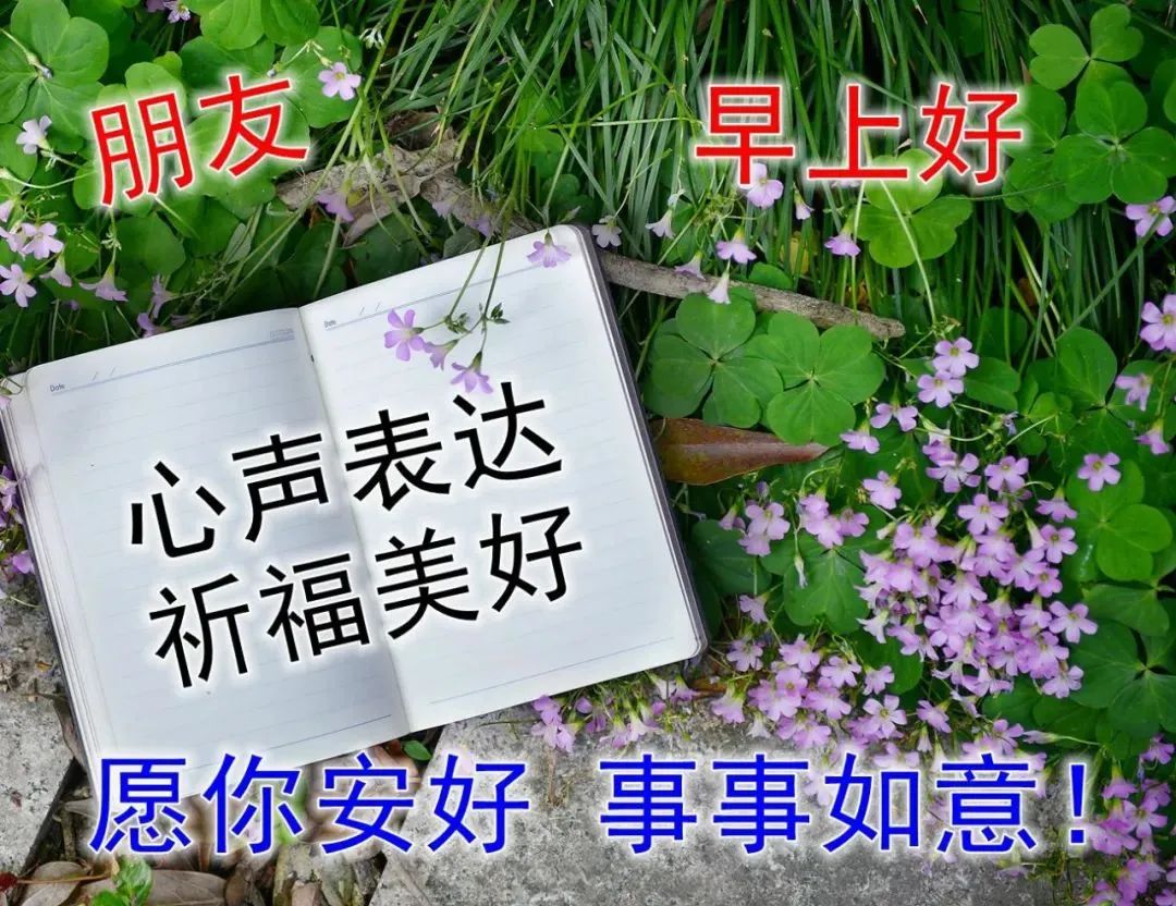 2023兔年早上好的祝福语大全 微信朋友圈早安图片大全