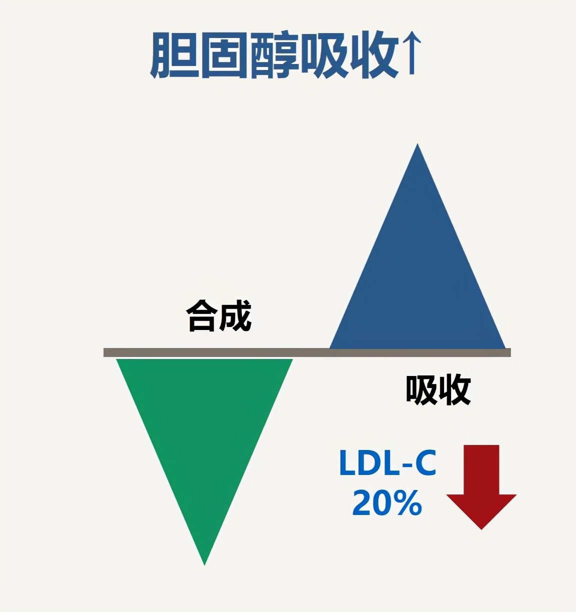 海博麦布,一款抑制胆固醇吸收的国产新药来了!