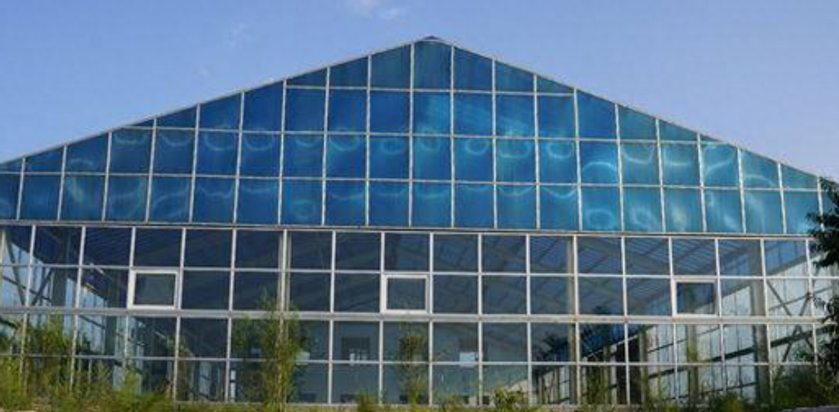 山西首富儿媳寇静瑶19岁被12辆悍马娶进豪门31岁成a级通缉犯