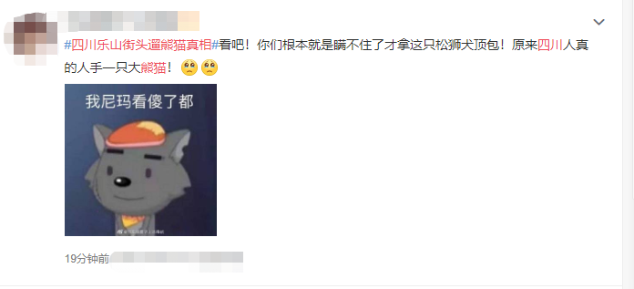 推荐四川街头有人遛熊猫?真相曝光……当事人还被警察盯上了