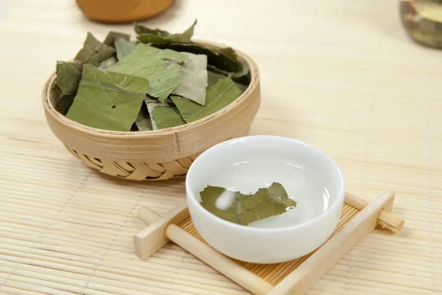 荷叶茶的功效与作用荷叶茶减肥的正确喝法