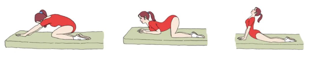 专家专栏-膀大腰圆不用慌,八招轻松摘掉"游泳圈"