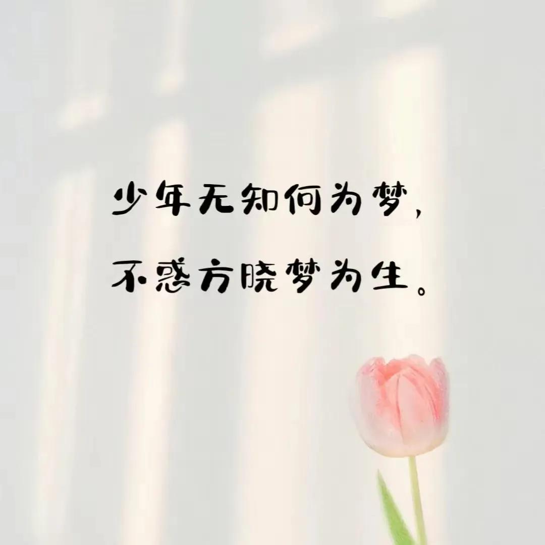 文字背景图,我这个人很好相处,处不好自己找原因