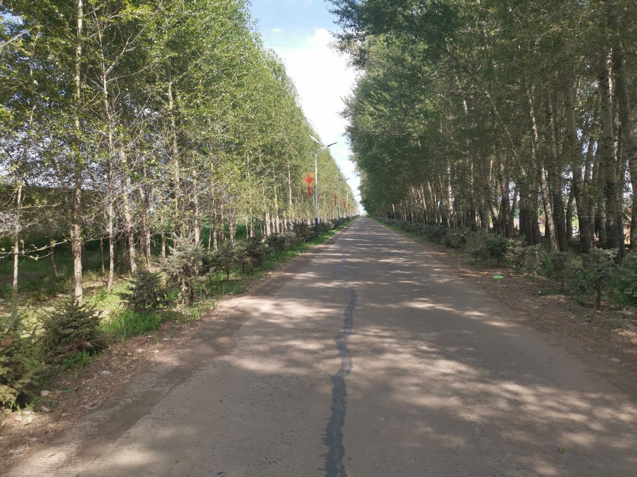 兰西县榆林镇林城村:美景如画 小康乡村