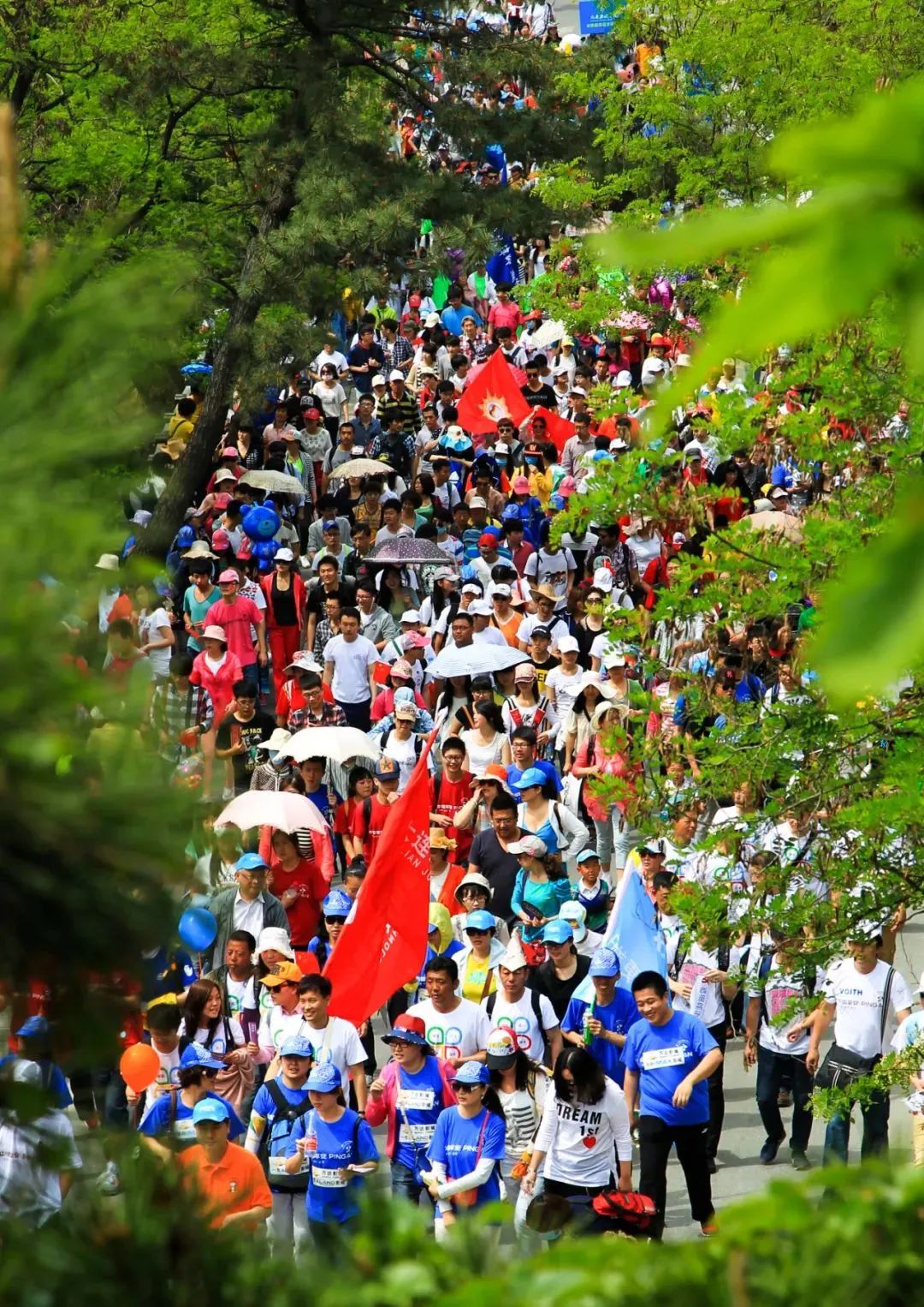 大连国际徒步大会最新通知