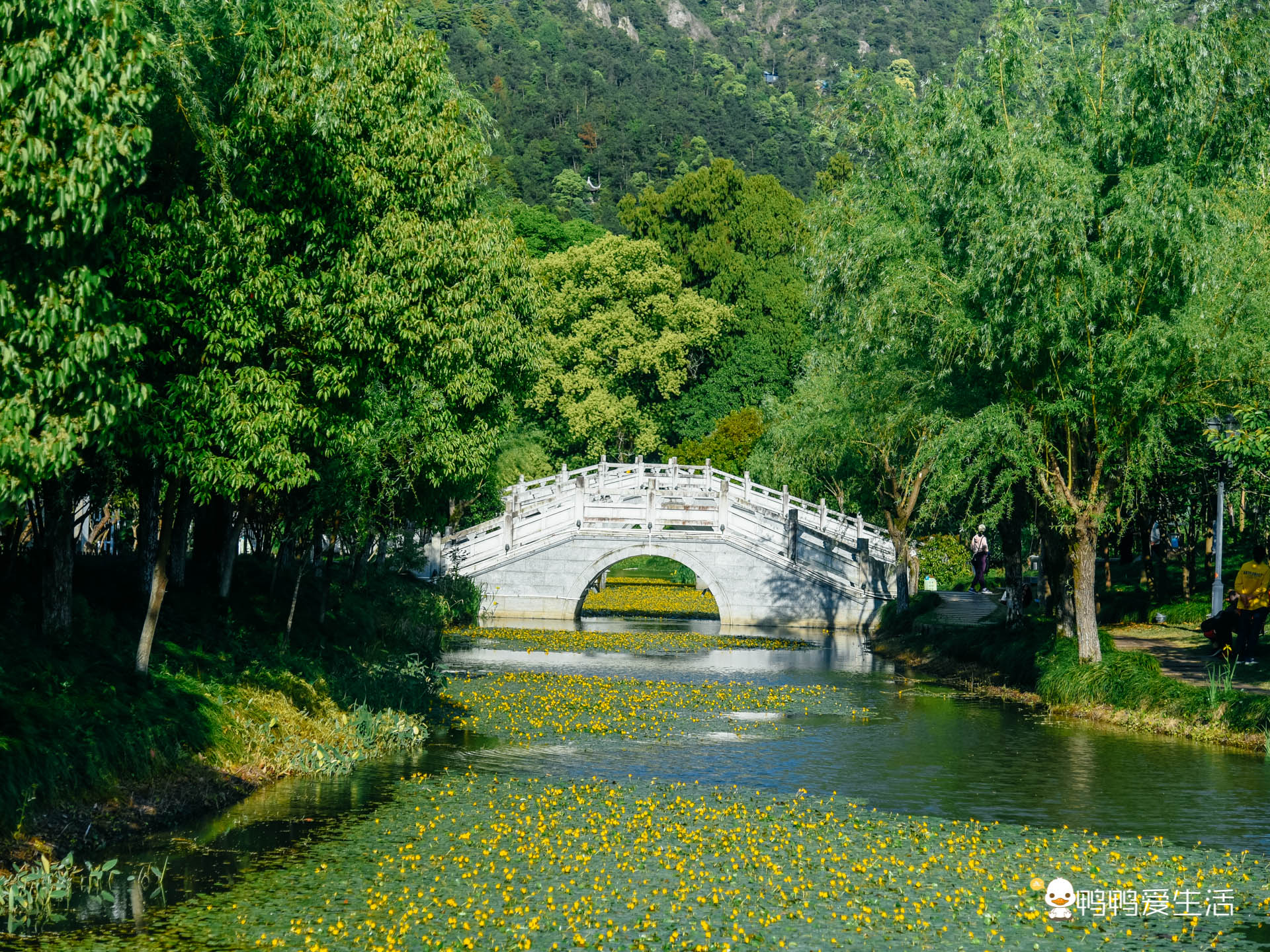 黄岩九峰公园景点介绍图片