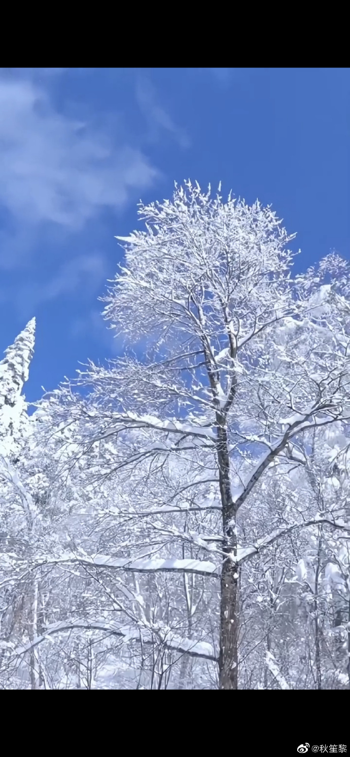 吉林雾凇美景宛如冰雪世界