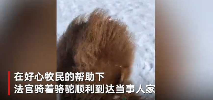 内蒙古一牧区积雪厚度达30厘米 法官骑骆驼上门办案
