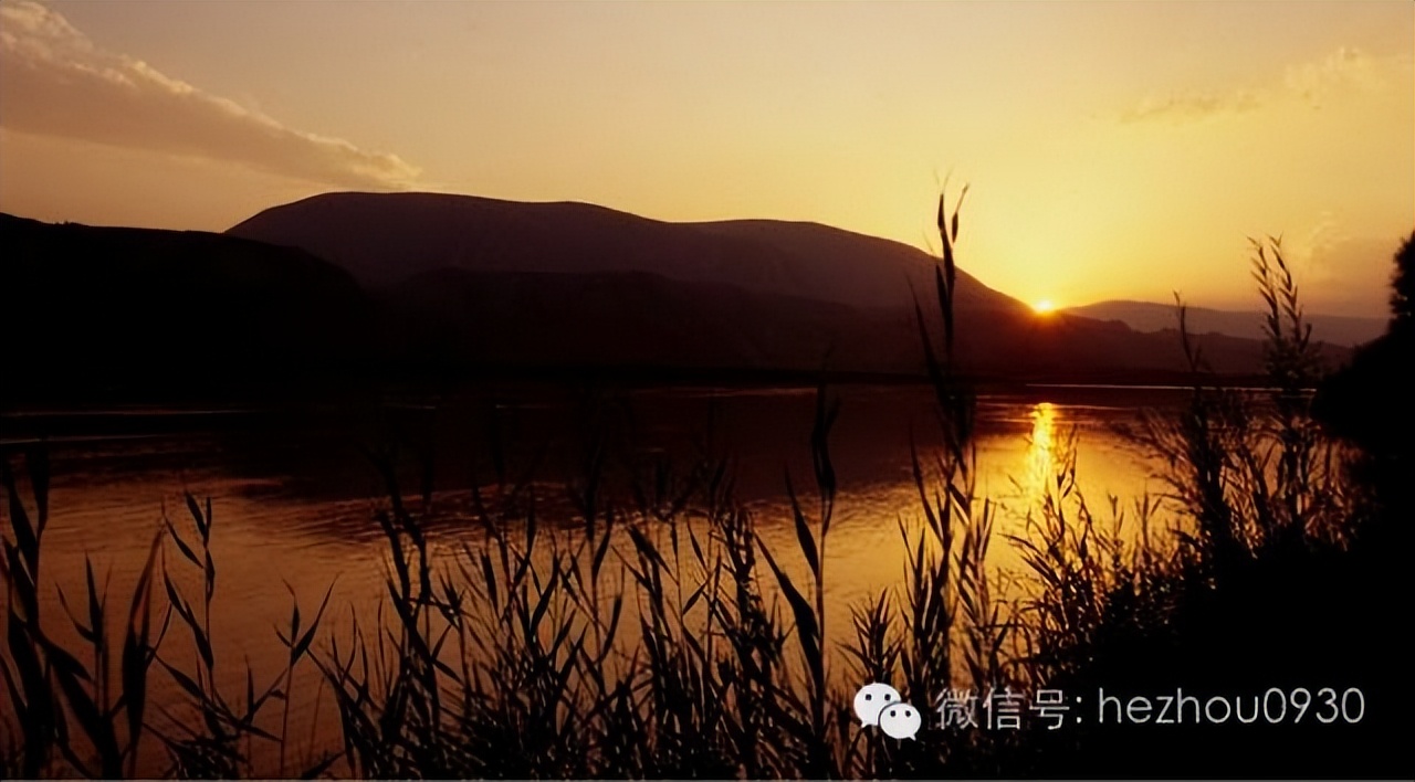 美图|永靖县太极岛湿地乐园