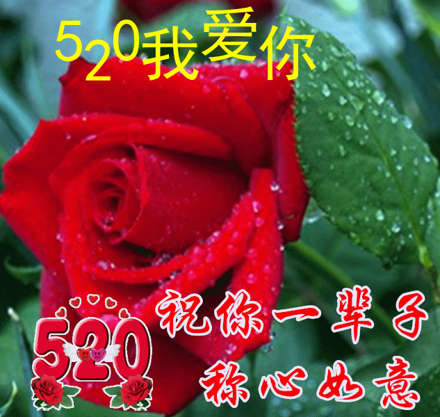 520动态表白图,520温馨浪漫的爱情句子