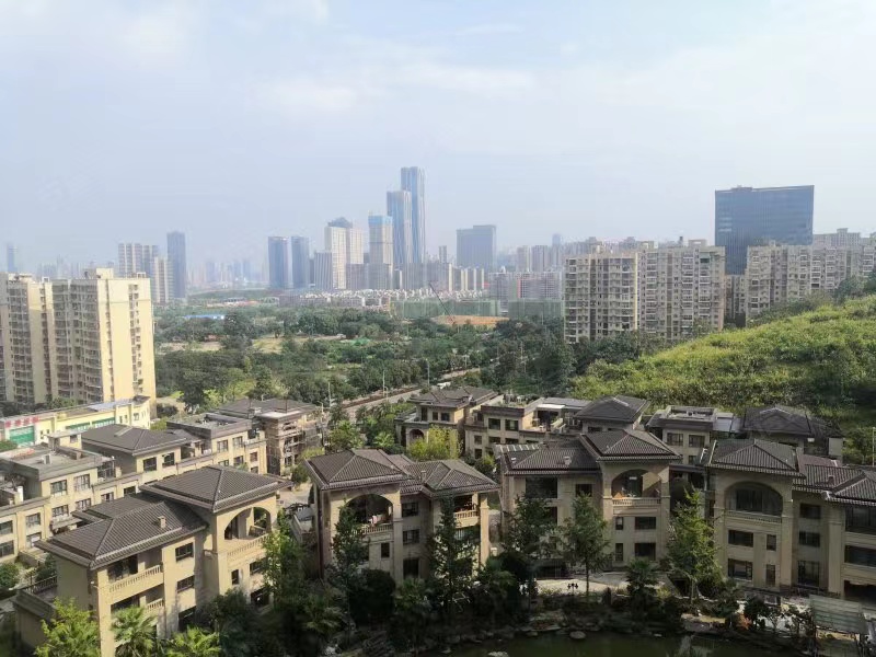 长沙滨江一号丰泰花园法拍房 长沙岳麓区法拍房列表