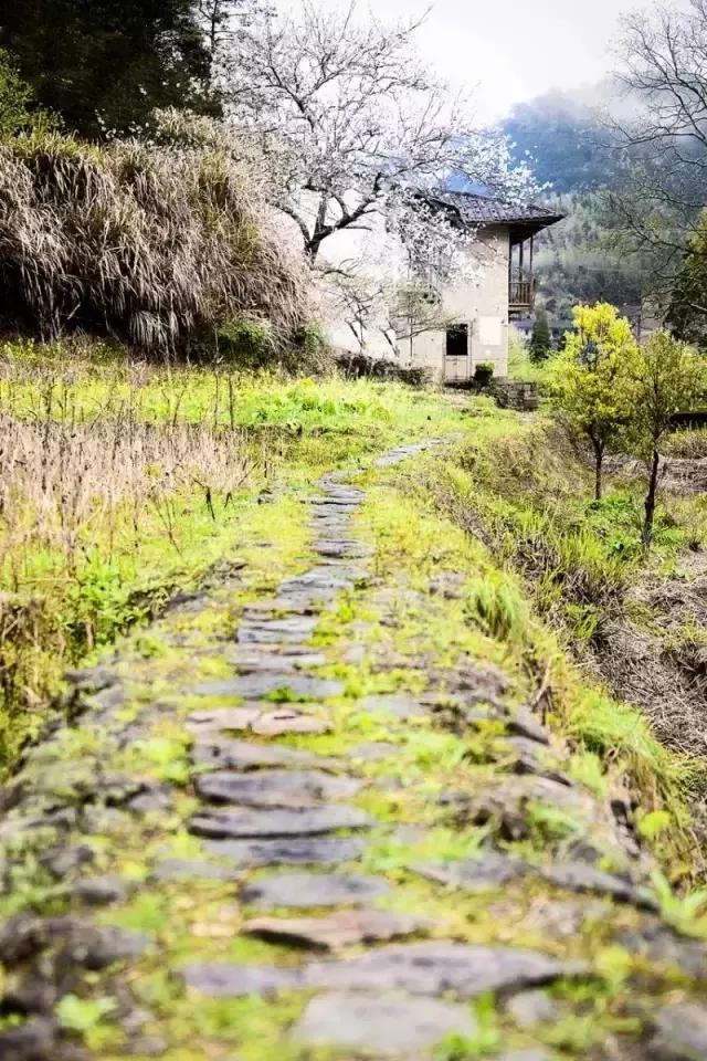 永泰最美古村落图片