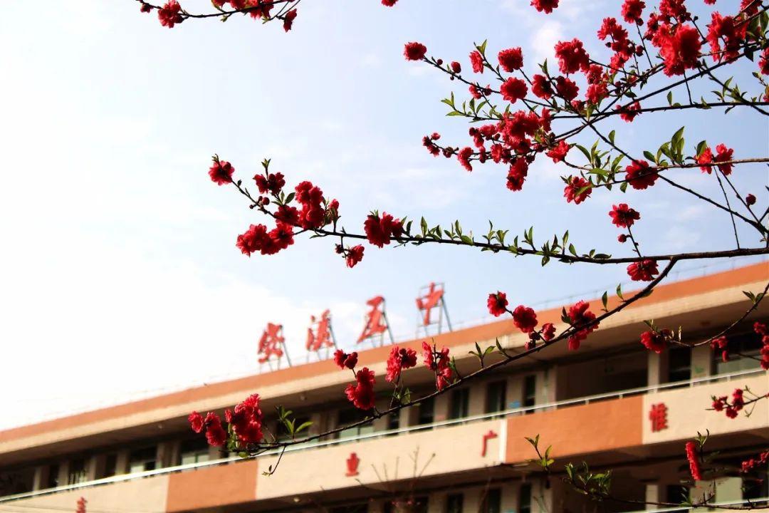 捐资兴校献爱心—泛茶控股为安溪五中捐造"爱国寻韵"油画长廊