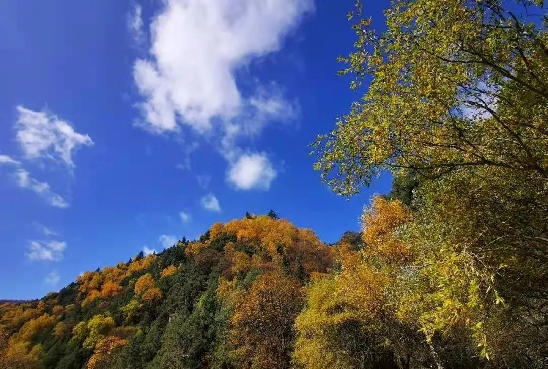 互助北山十二盘秋景图图片