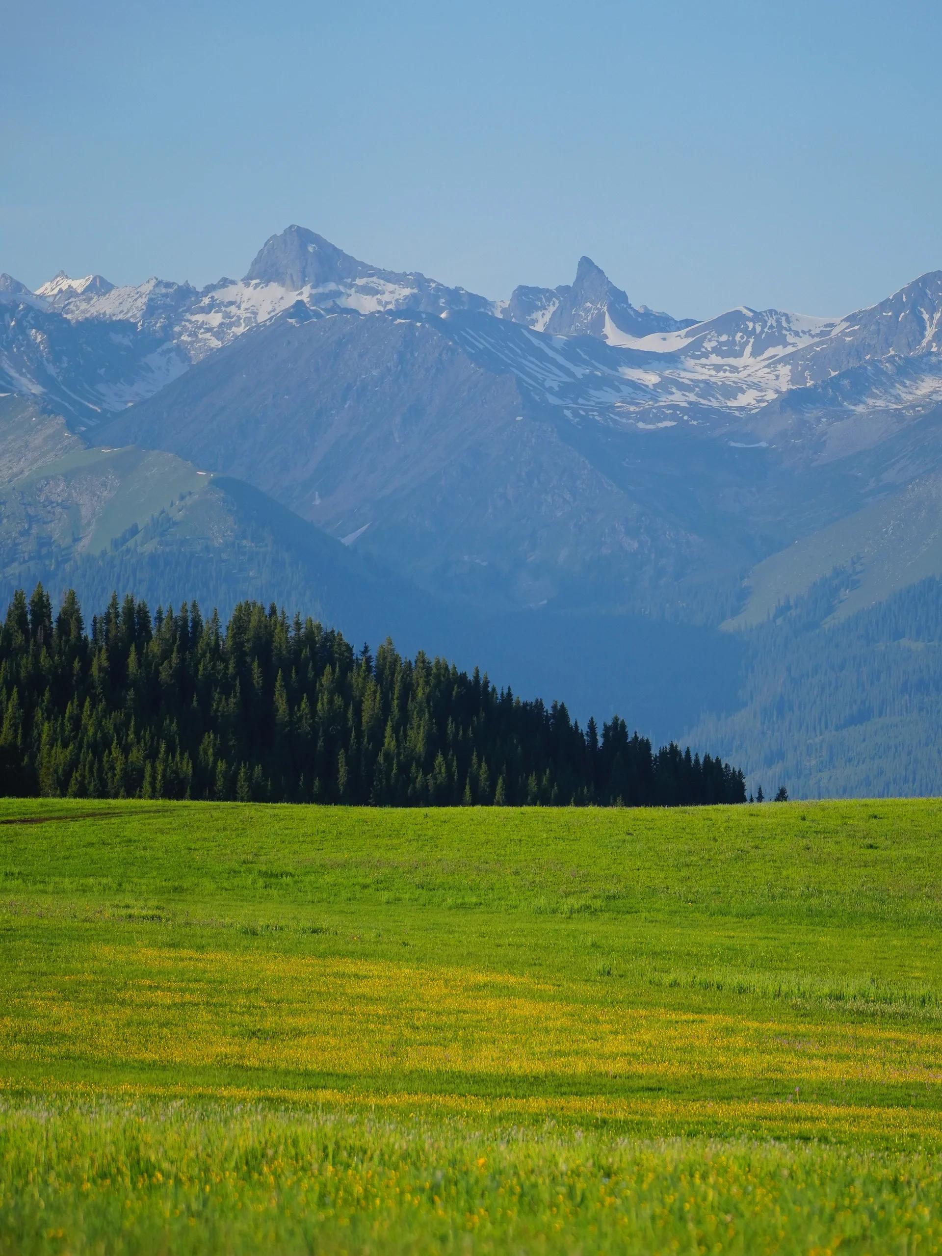 解锁新疆梦幻雪山草原之王的美|喀拉峻攻略