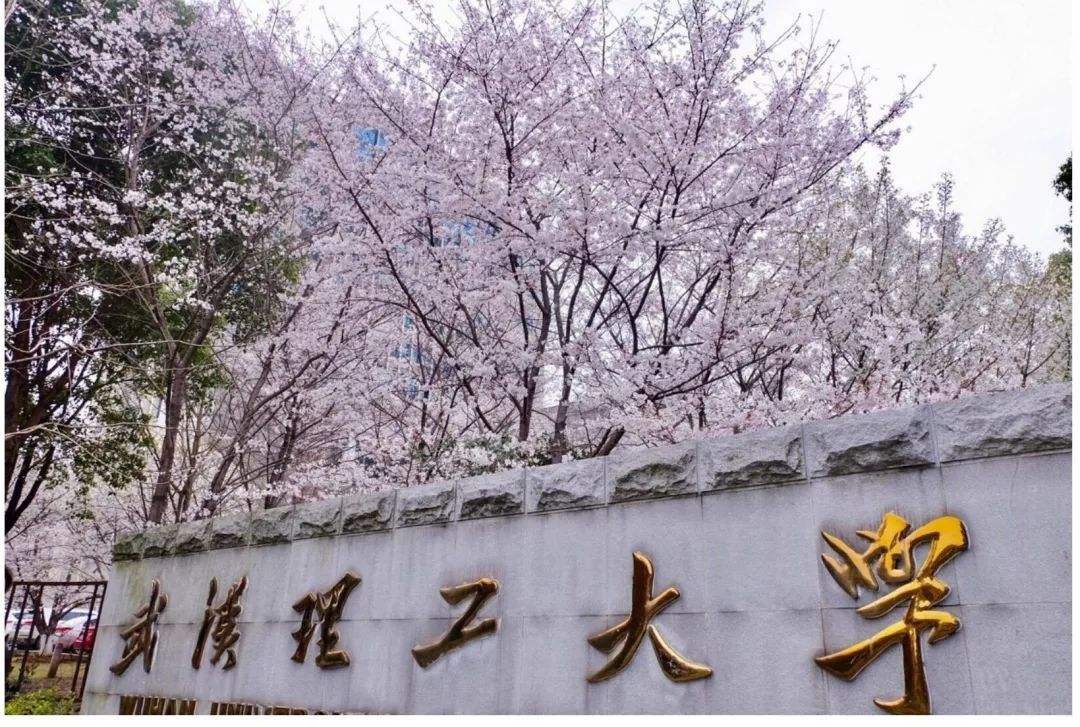 2023年武汉市20强大学排名:武汉大学夺魁,武汉理工大学排第3名