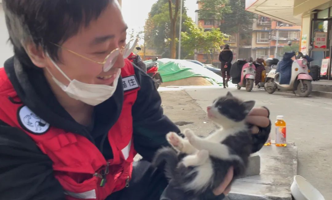 救了1000只猫后,他被网暴了