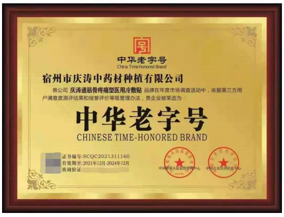 陈开才——「大国艺术 中外交流」·著名中医