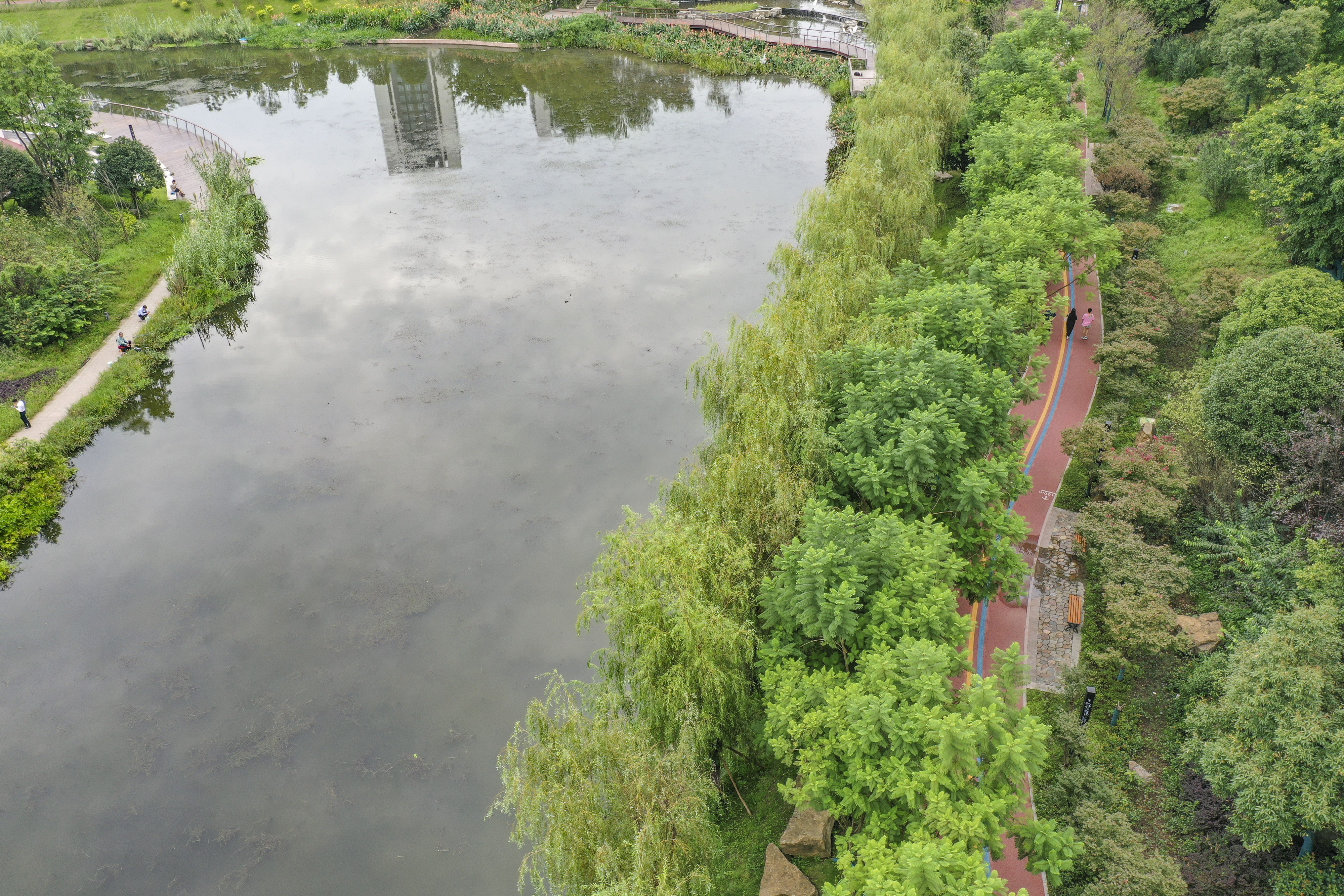 重庆南岸:苦竹溪生态修复显成效(6)