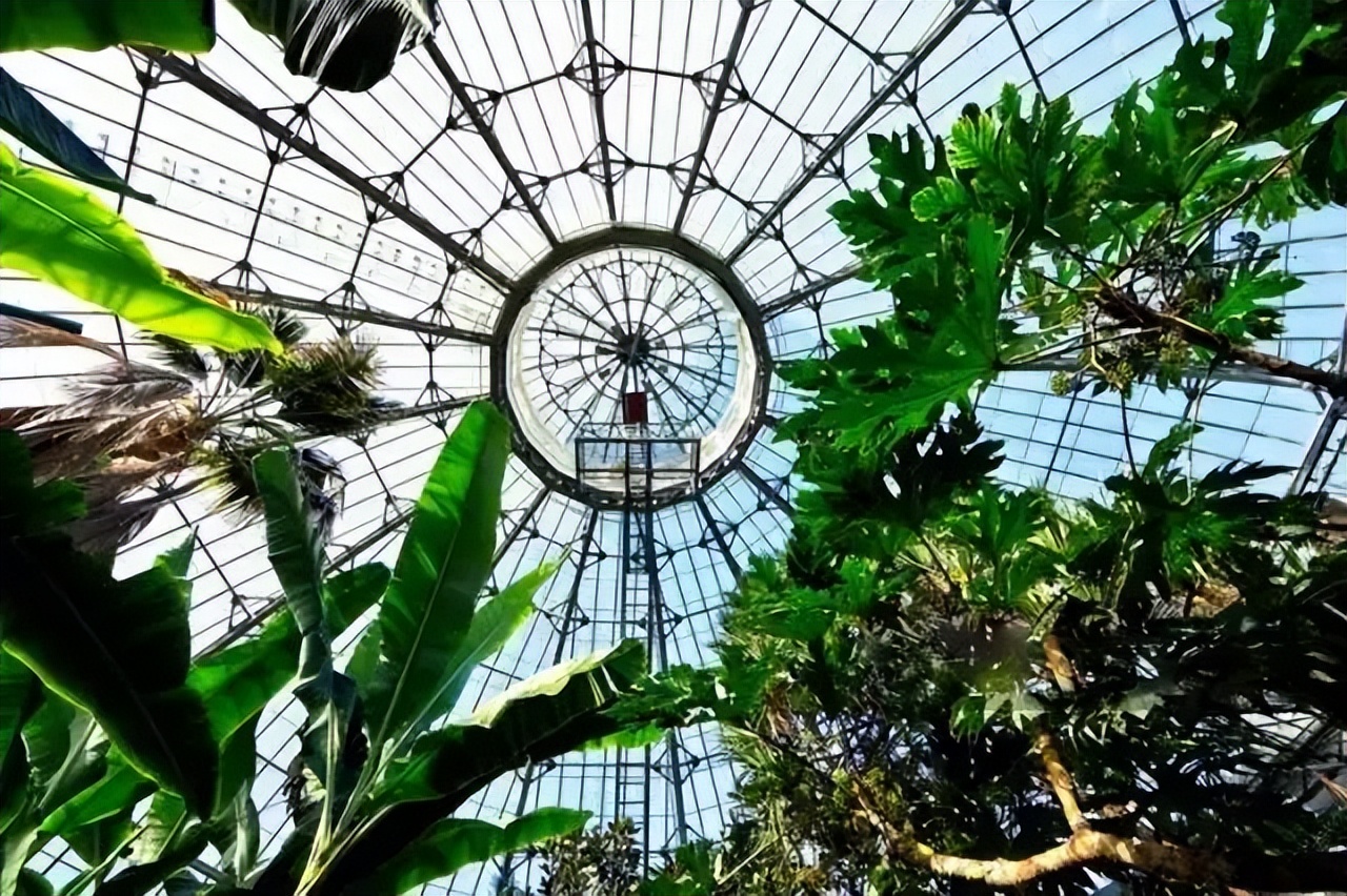 英国伊甸园:工业遗址上的一站式旅游目的地,年接待游客120万!