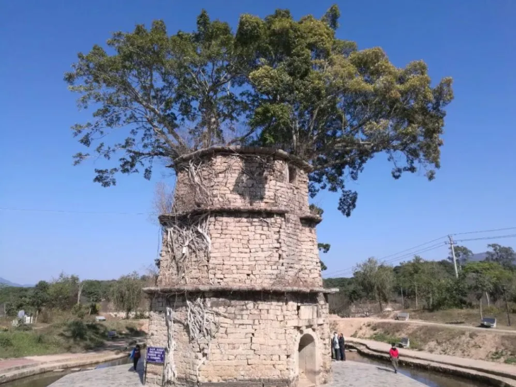 林下讲古|万字长文带你走近400年前的官陂